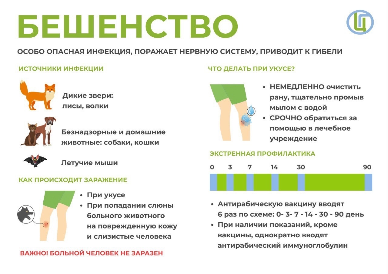 Профилактика зоонозных инфекций: бешенство.