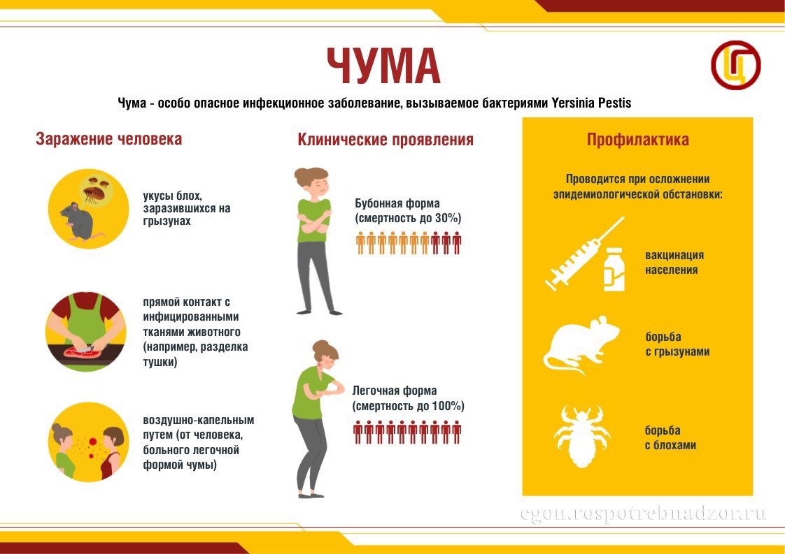 Чума – особо опасная инфекция.