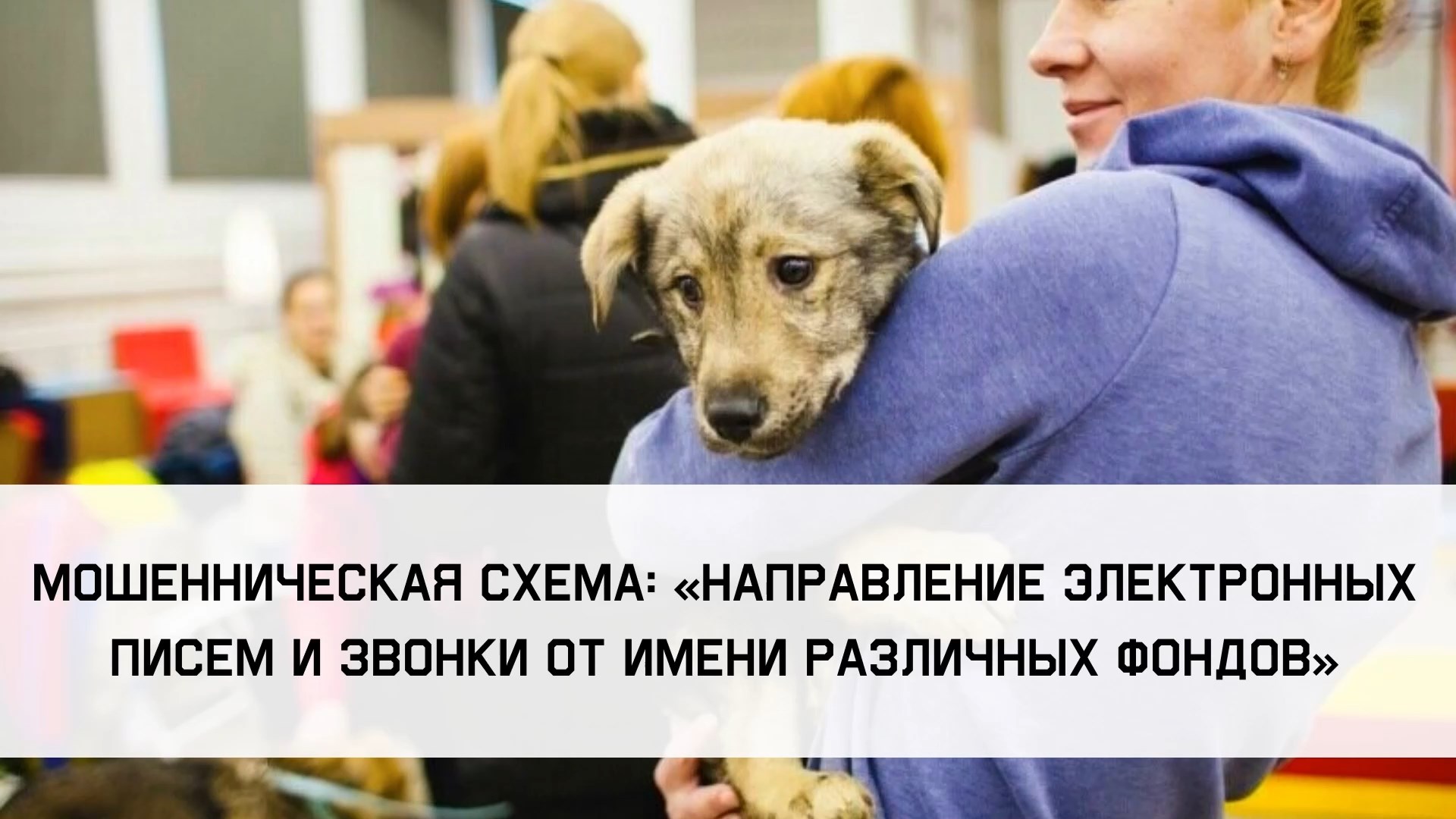 Прокуратура предупреждает - осторожно, мошенники!.