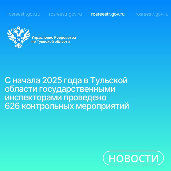 С начала 2025 года в Тульской области государственными инспекторами проведено 626 контрольных мероприятий.