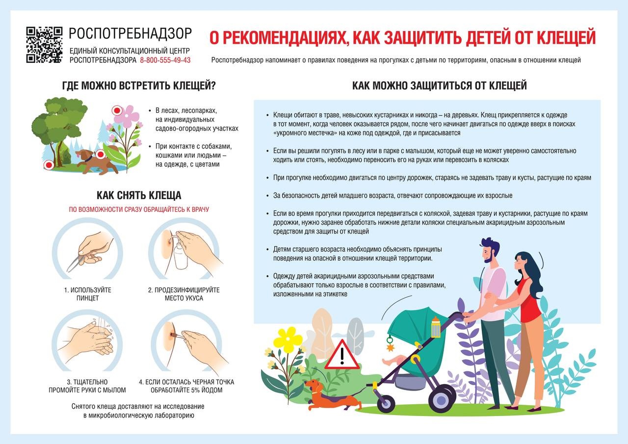 О мерах профилактики инфекций, передающимися клещами.