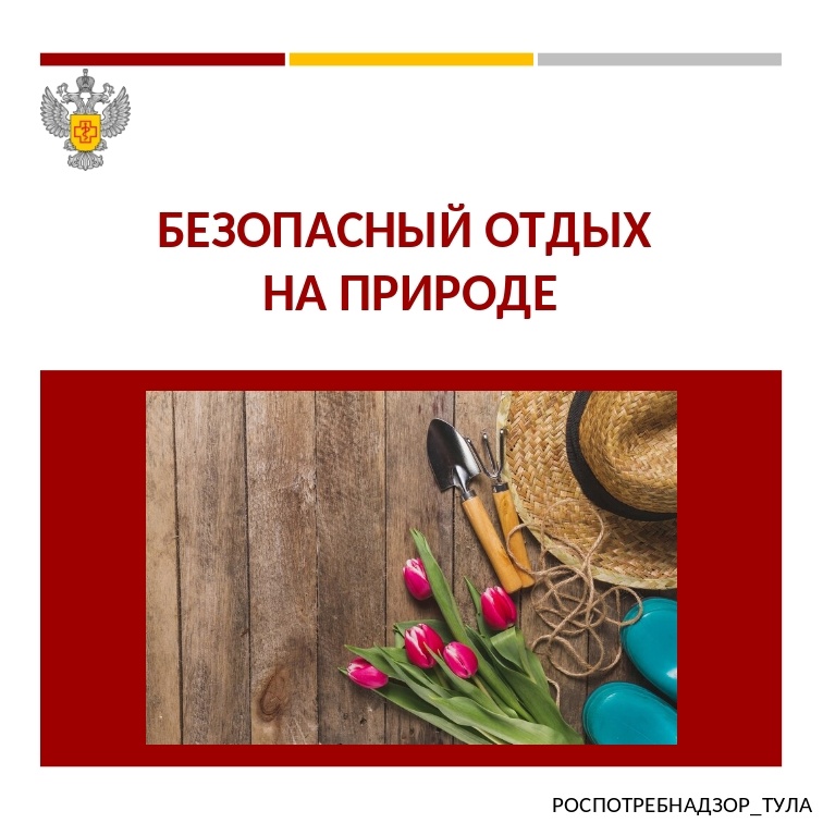 Безопасный отдых на природе.