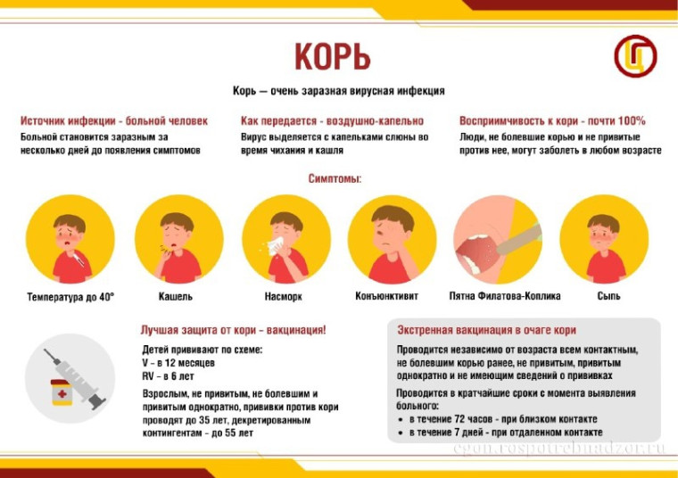 Корь, краснуха, паротит: чем же это нам грозит?. Корь, краснуха, паротит: чем же это нам грозит?.
