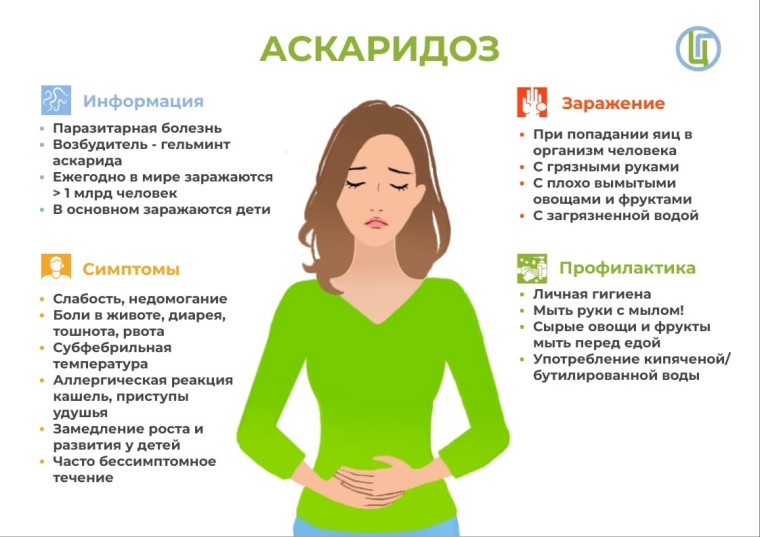 Аскаридоз и его опасность. Аскаридоз и его опасность.