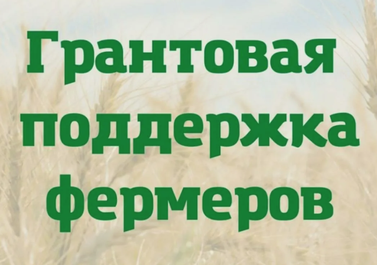 О проведении отбора получателей гранта «Агроподдержка». О проведении отбора получателей гранта «Агроподдержка».